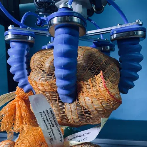 SoftGripping gripper with blue pneumatic fingers holding bags of produce