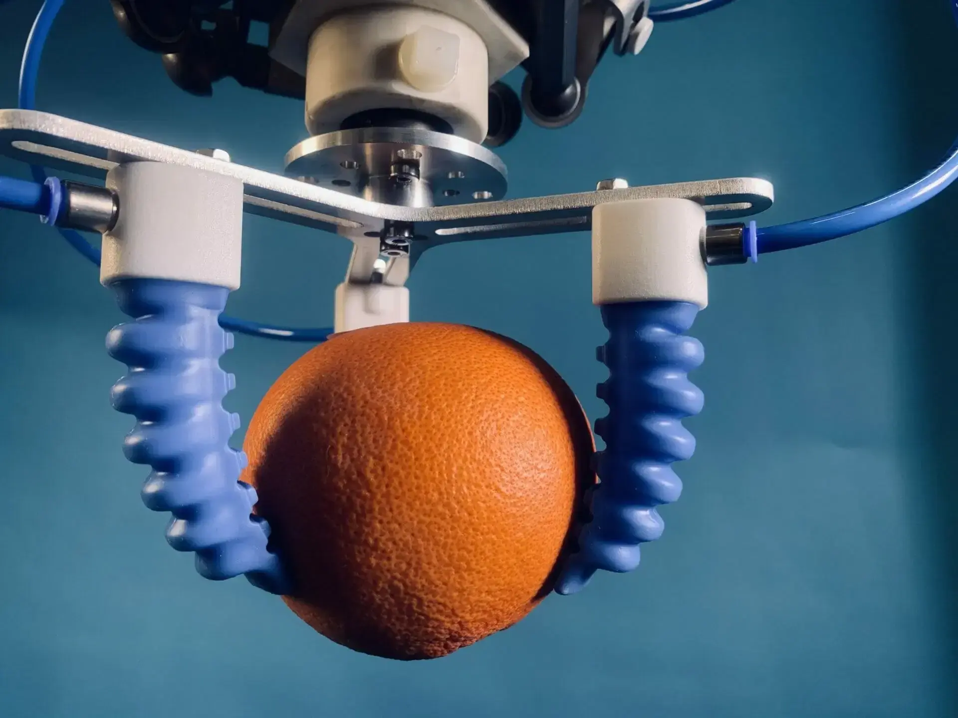 SoftGripping Centric Gorilla Finger Actuator holding an orange from the front view