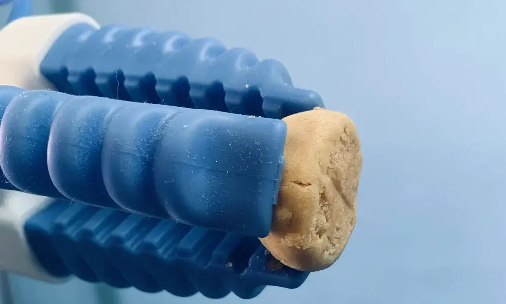 Close-up side view of three blue fingers gripping a small beige object
