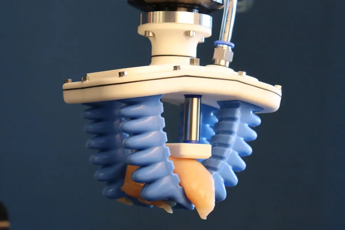Soft gripper with six blue fingers holding a piece of food from below
