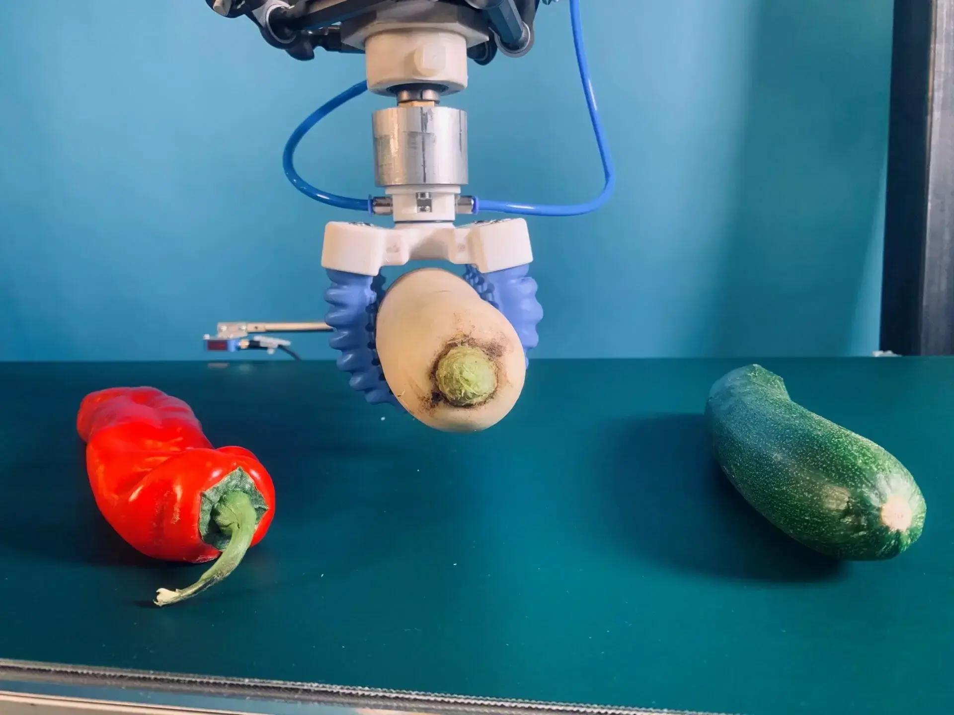 Soft gripper with two blue fingers gripping a vegetable, mounted on a robot